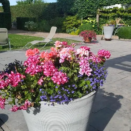 B En B En Route Panzió 4*