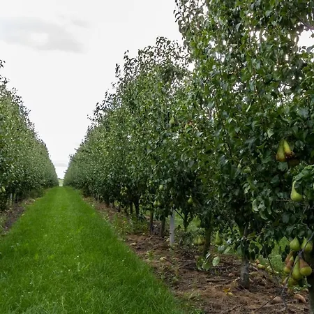 B En B En Route Bed & Breakfast 4*