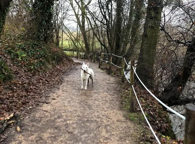 B En B En Route Отель типа 