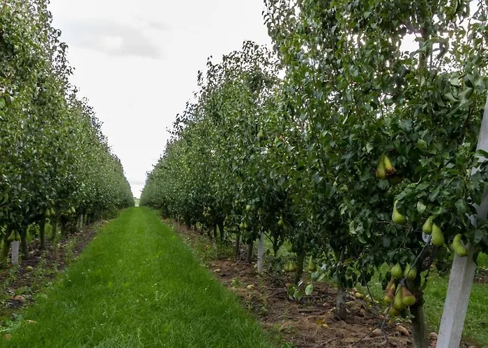 B En B En Route Bed & Breakfast 4*